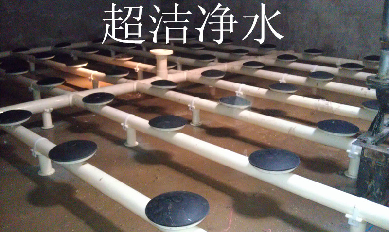 1589786861150622.jpg IMAG1152_副本.jpg