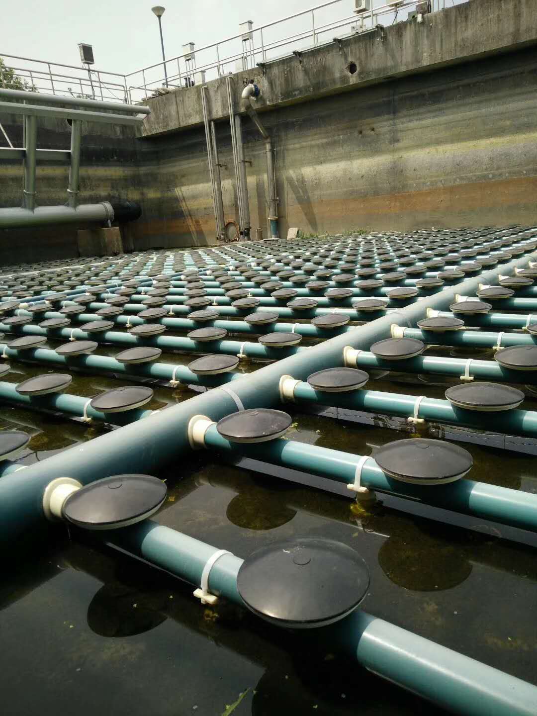 1599697752275759.jpg 微信圖片_20200601080351.jpg