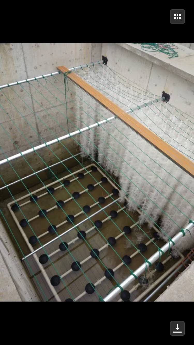 1603178391209534.jpg 1_副本1.jpg