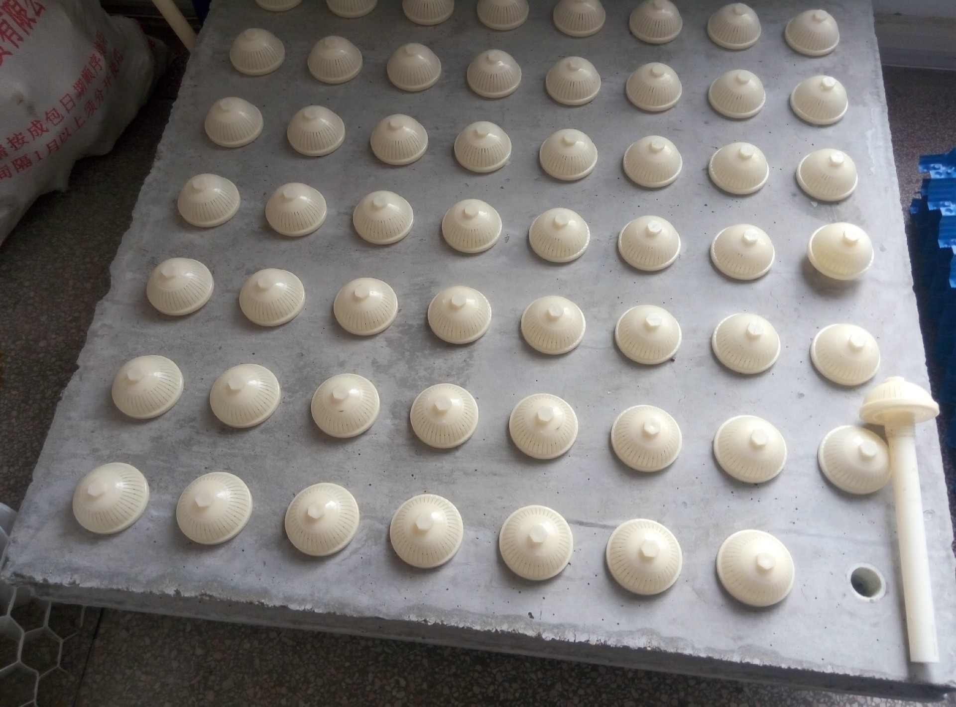 1649837699147917.jpg P60927-154440.jpg