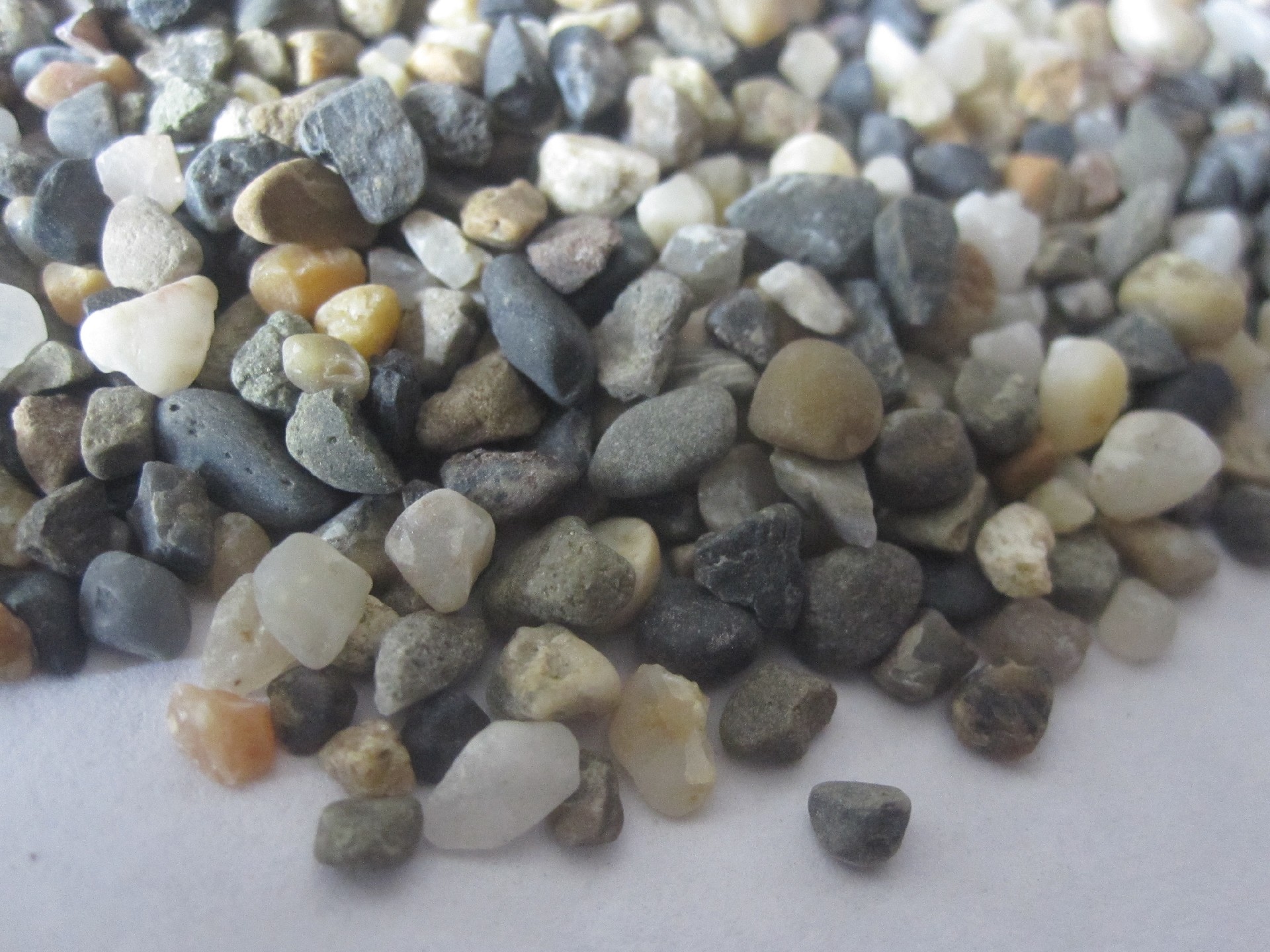 1649837907179023.jpg IMG_1850.JPG